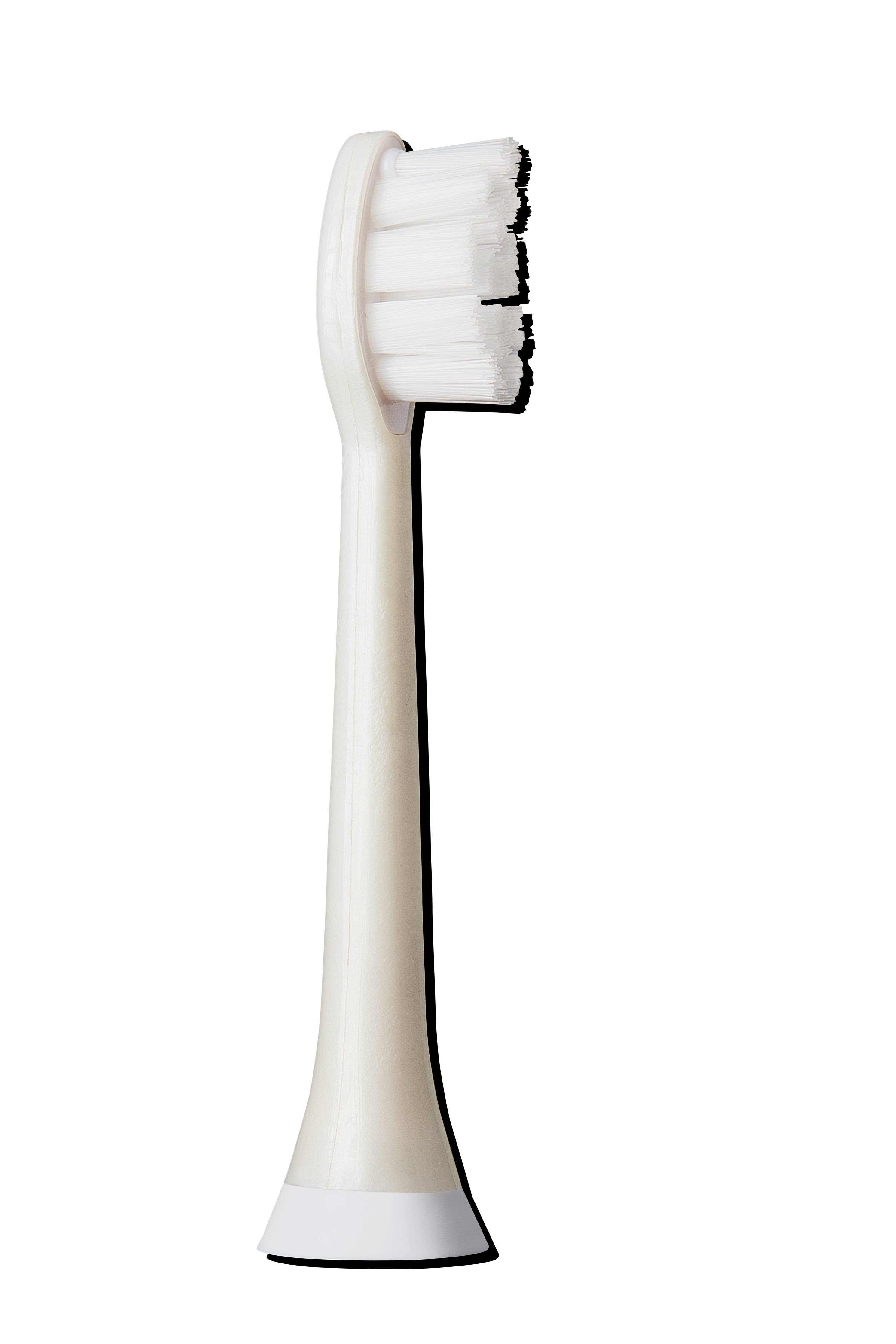 Biodegradable Electric Toothbrush Replacement Heads Sonicare