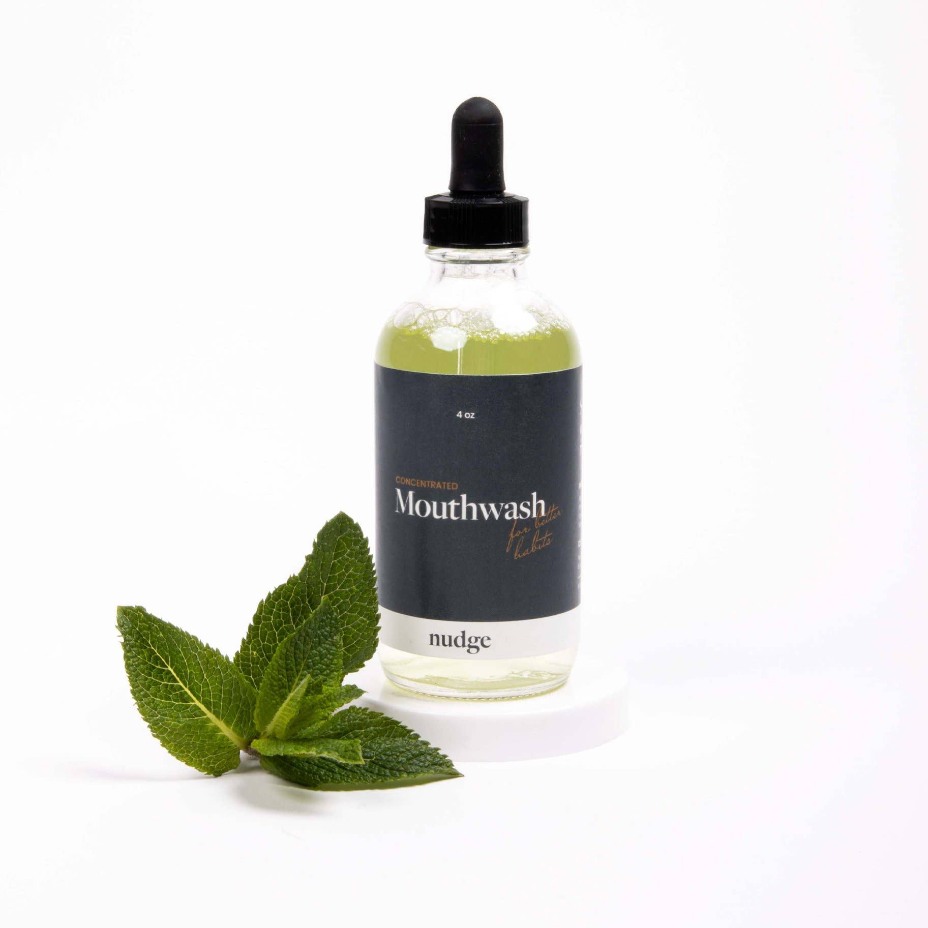 Alcohol-Free Mouthwash Concentrate, Fresh Mint