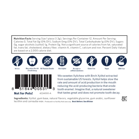 XyliChew Sugar-Free Chewing Gum – Mint Ice Flavor ❄️ | 12-Piece Pack | Birch Xylitol 🌿 | Vegan 🌱 | Gluten-Free 🌾 | Dentist-Approved 🦷