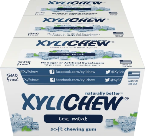 XyliChew Sugar-Free Chewing Gum – Mint Ice Flavor ❄️ | 12-Piece Pack | Birch Xylitol 🌿 | Vegan 🌱 | Gluten-Free 🌾 | Dentist-Approved 🦷