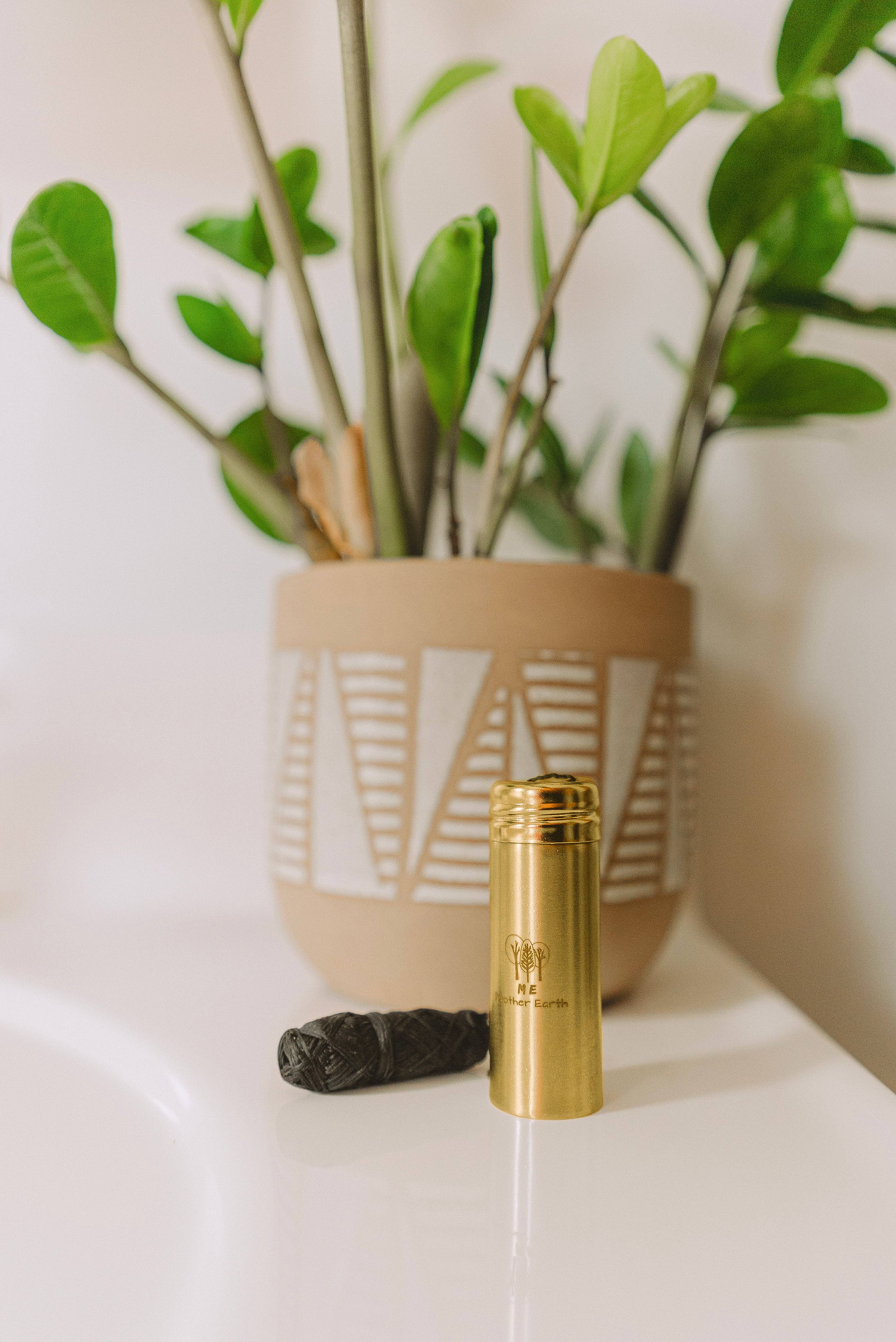 Vegan Biodegradable Charcoal Dental Floss - Stainless Steel: Gold Stainless Steel